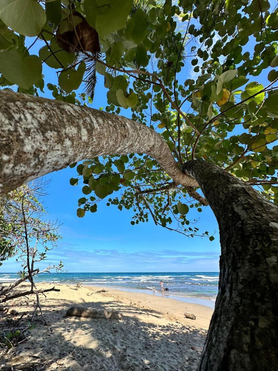 Caribbean Flow Puerto Viejo de Talamanca Buitenkant foto